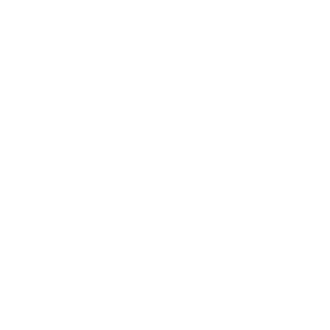 Audacious Duo crest